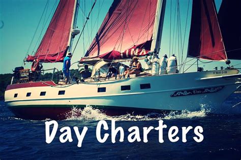 tudor dawn charters|Tudor Dawn Charters .